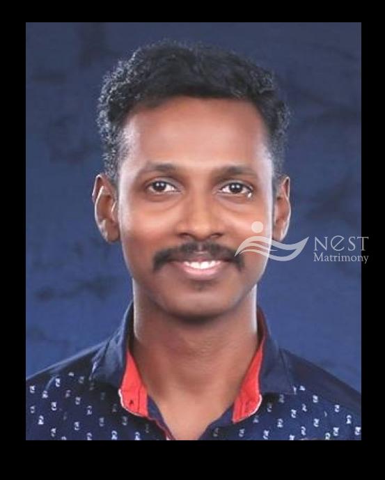 sibin pappachan-profile-image