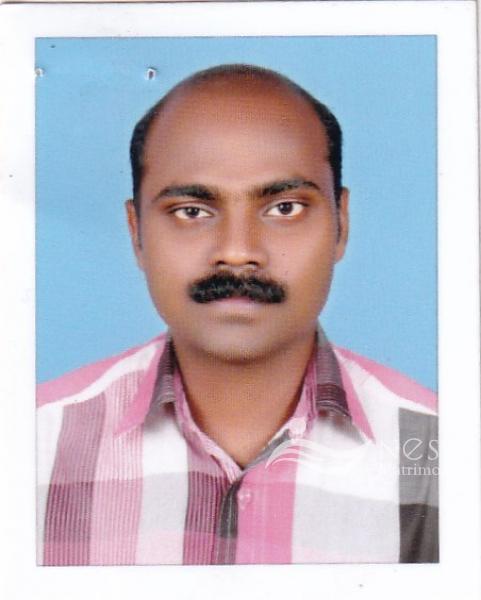 ANILKUMAR-profile-image