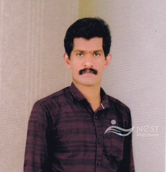 Rajesh-profile-image