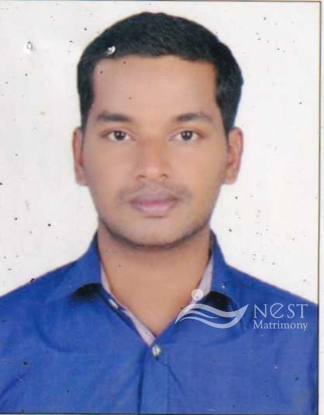 HAREESH T R-profile-image