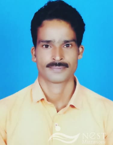 RAMESH-profile-image