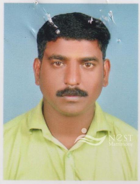 RATHEESH PM-profile-image