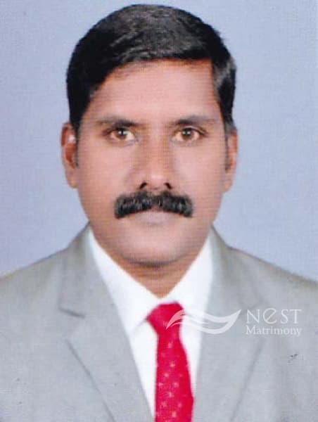 PRADEEP .V-profile-image