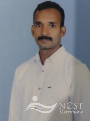 Renny mathew-profile-image