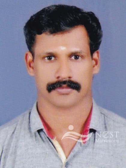 RATHEESH P A-profile-image