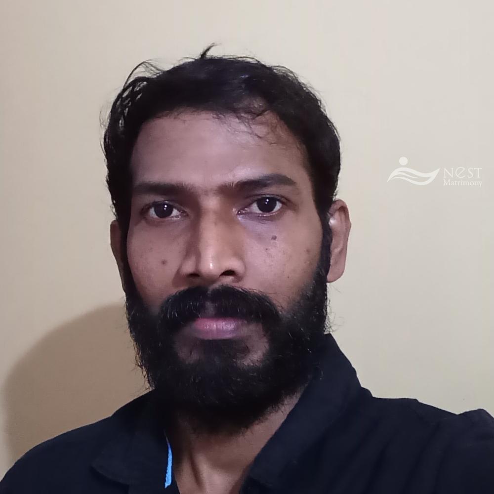 Sajeesh-profile-image