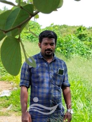 SATHEESH BABU-profile-image