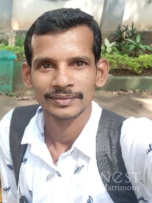 ANIL AYYAPPAN-profile-image