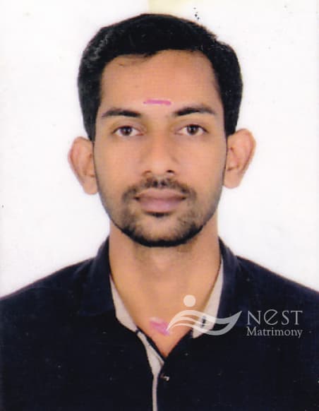 BINESH P B-profile-image