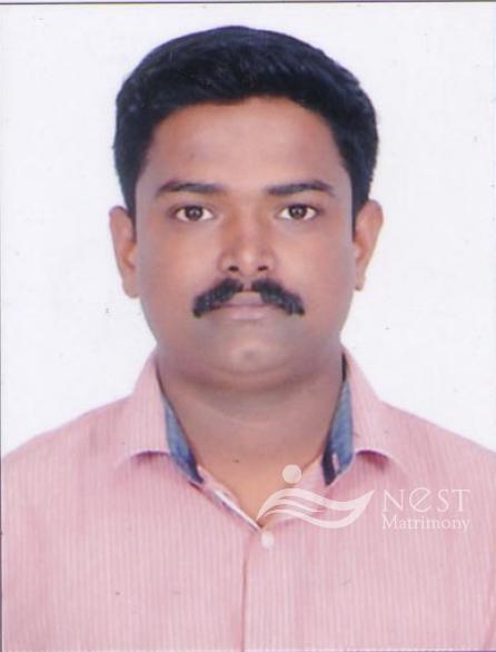 SHAJITH V MATHEW-profile-image