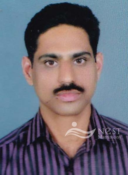 VARGHESE P.T-profile-image