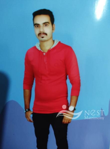 Aneesh M.g-profile-image