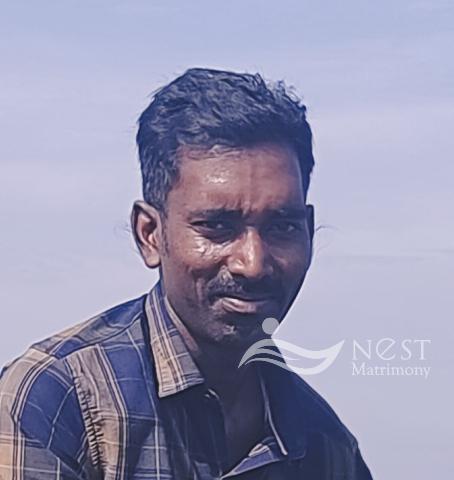 Sudhan M V-profile-image