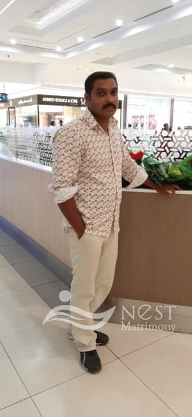 DILEEP THOMAS-profile-image