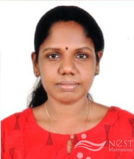 SAVITHA SANKARAN-profile-image