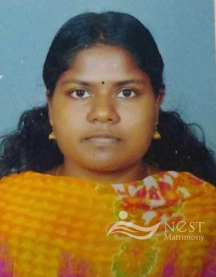 Sankeerthi N K-profile-image