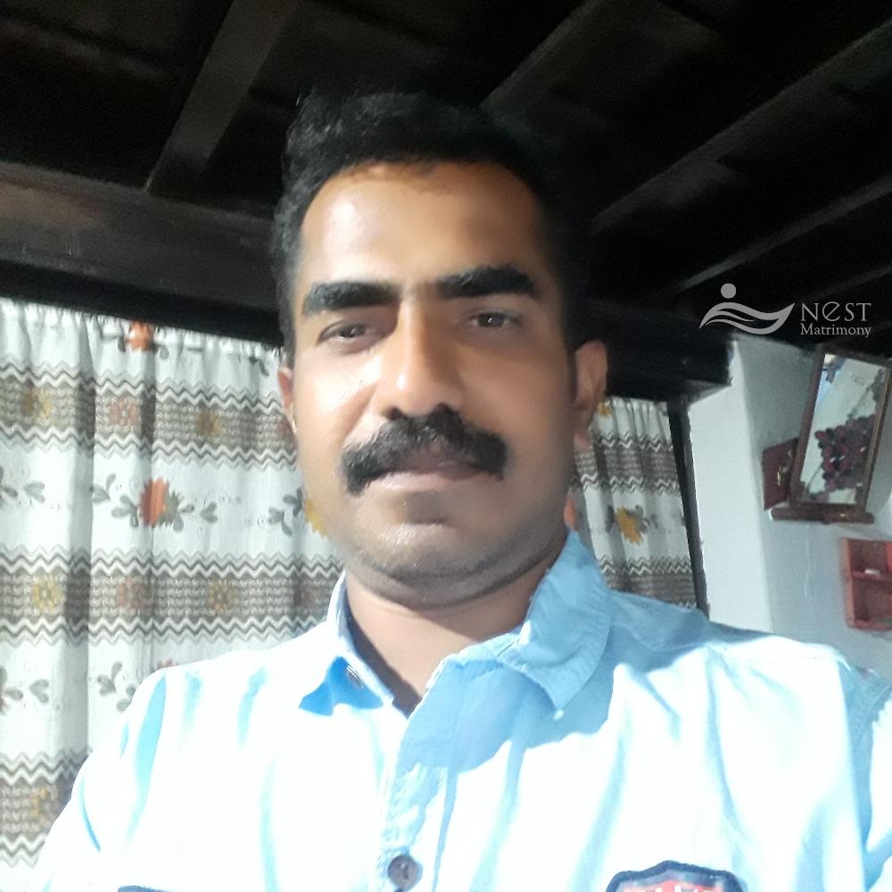 sreekumar k v-profile-image