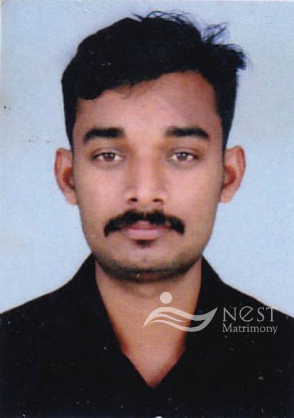 ANEESH-profile-image