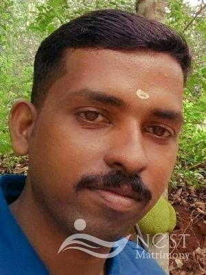 SATHEESAN K.S-profile-image