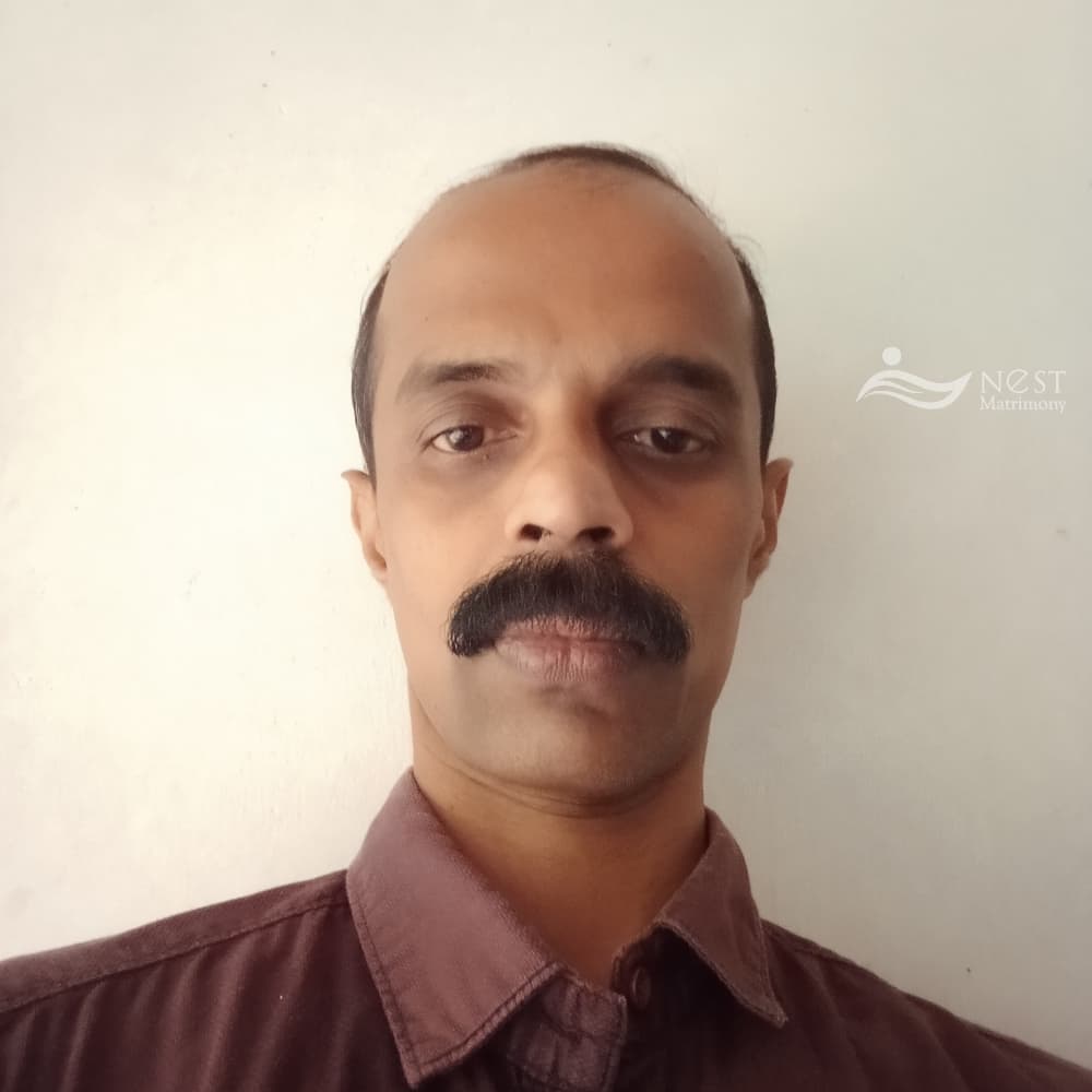 Shijojose-profile-image