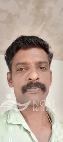 Anilkumar-profile-image