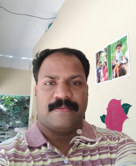 BINEESH T PAULOSE-profile-image