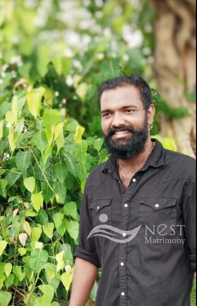 Nivin Varghese-profile-image