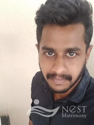 Nitheesh krishnan-profile-image