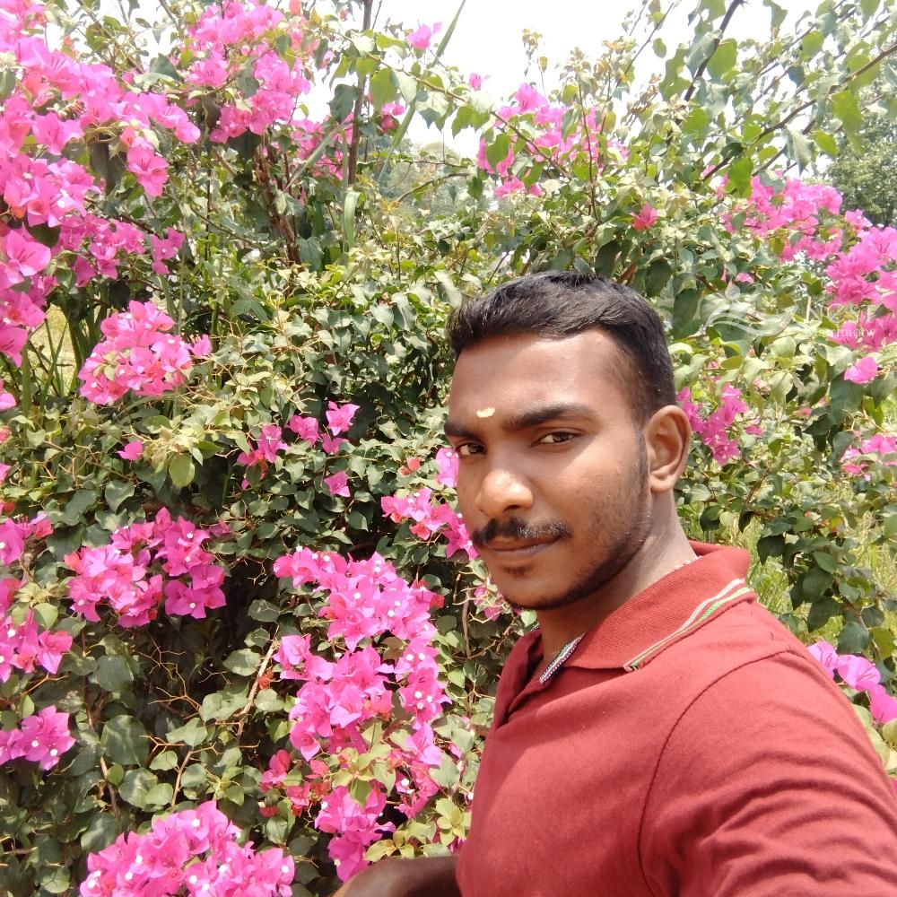 Dhanesh-profile-image