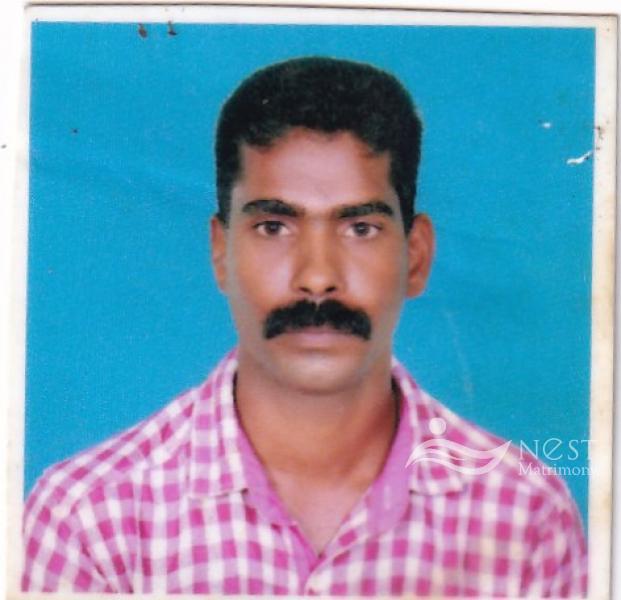 BINOY-profile-image