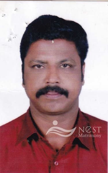 VIJU-profile-image