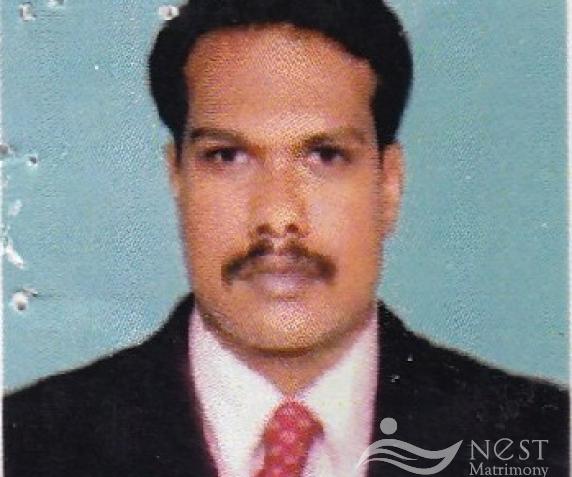 SANEESH-profile-image