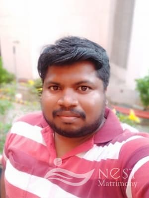 Amalraj-profile-image