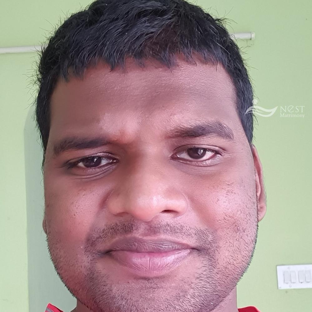 Sreeju-profile-image