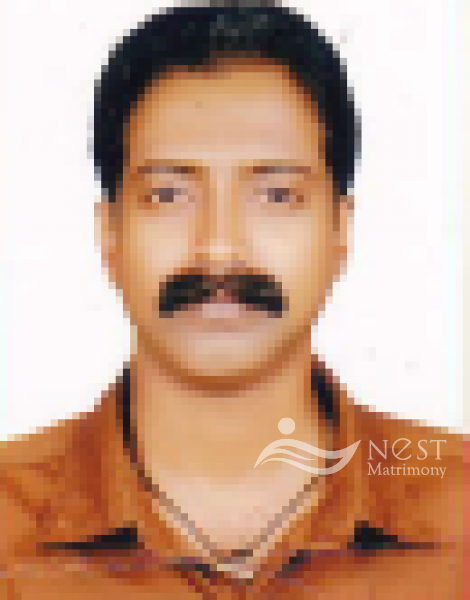 Sudheer-profile-image