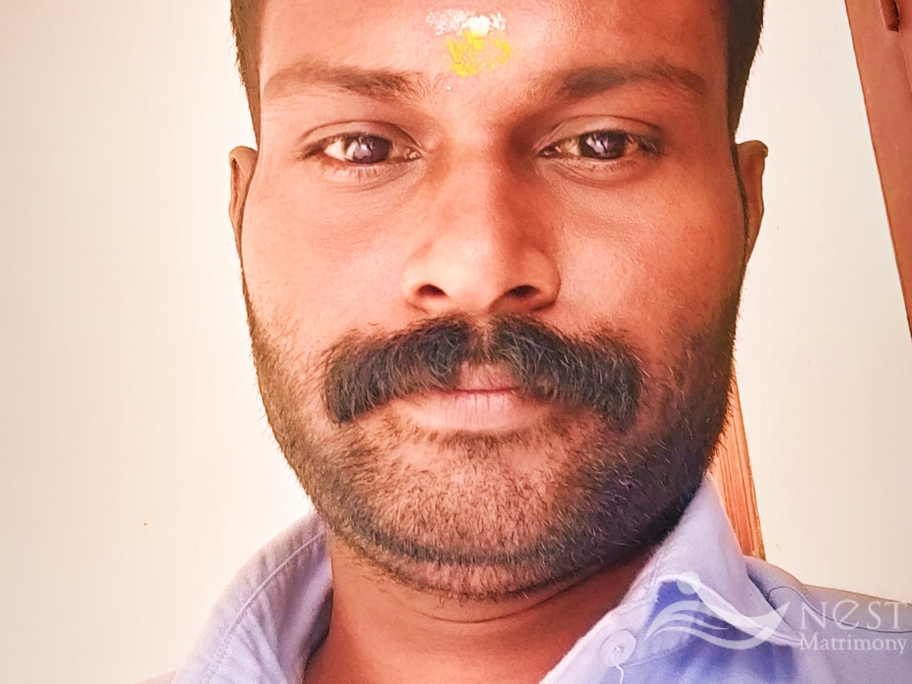 ANILKUMAR-profile-image