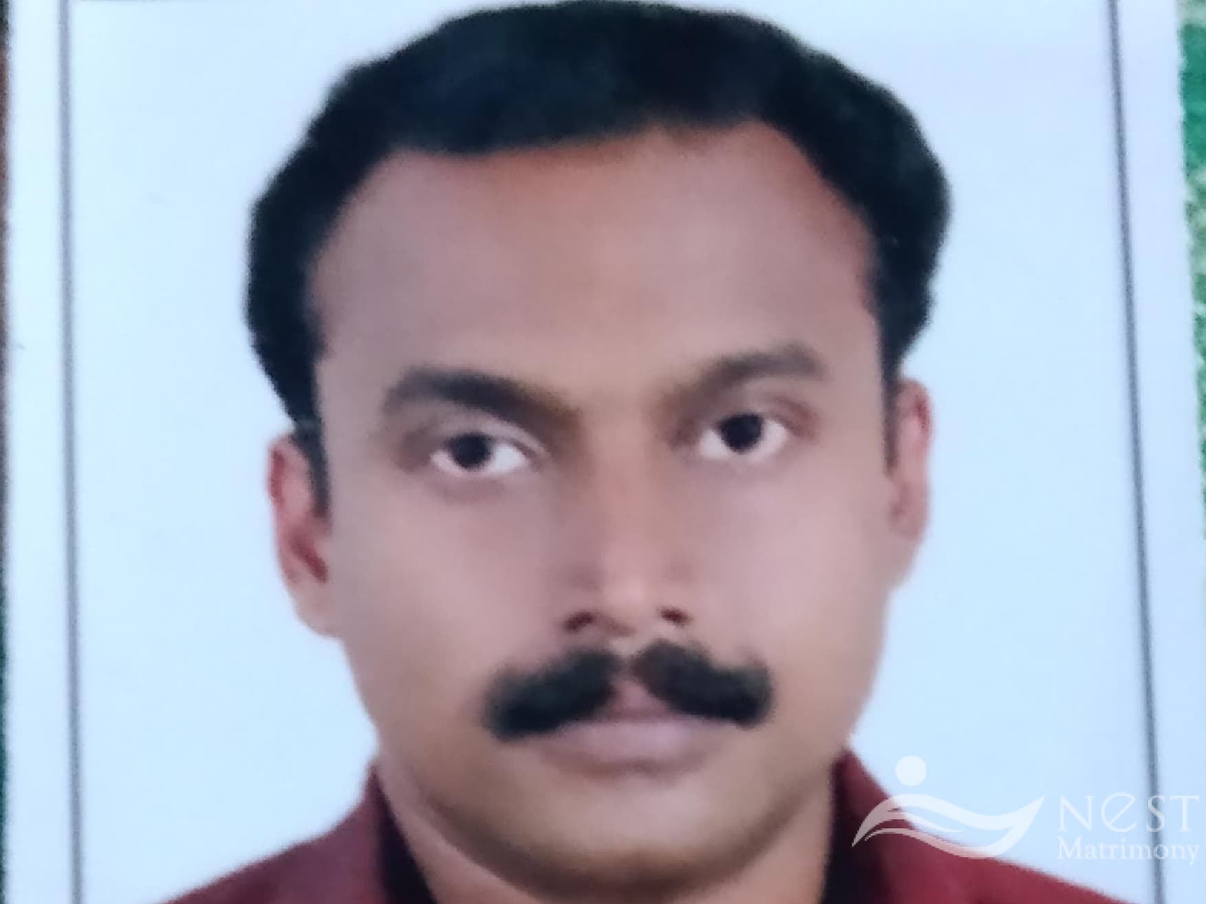 Sanju Kumar-profile-image