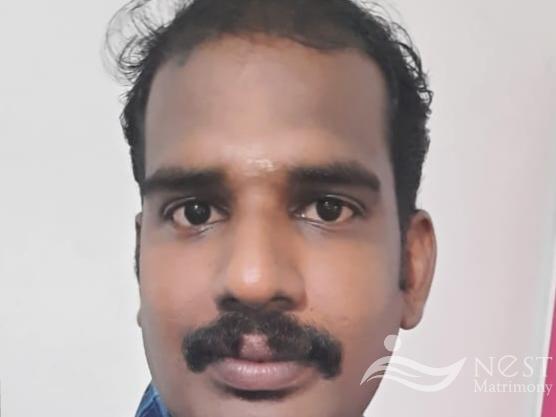 SUBHASH-profile-image