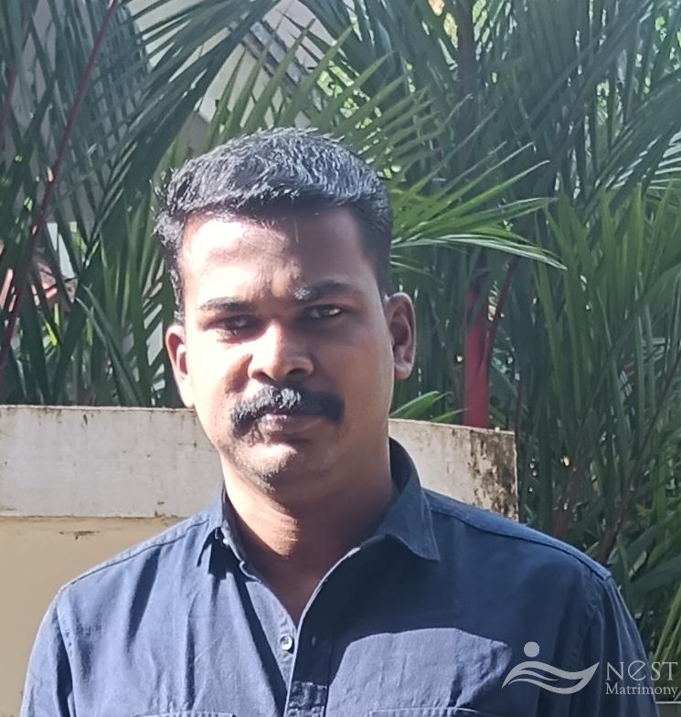 Ajeesh-profile-image